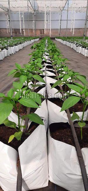 Grow Bags