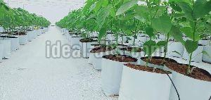 Grow Bags