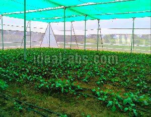 Naturally Ventilated Polyhouse