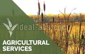 Agri business services