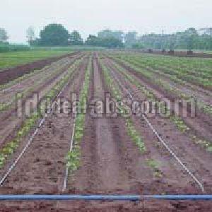 Drip Irrigation System