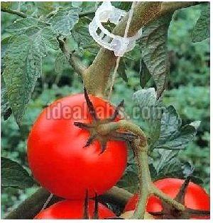 greenhouse accessories