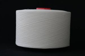 Open End Cotton Yarn