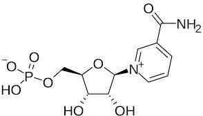 NMNBETA-NICOTINAMIDE MONONUCLEOTIDE)