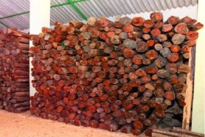 red sandal wood logs