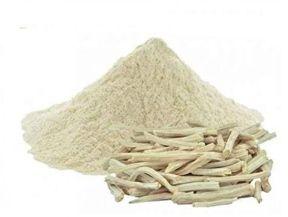 Asparagus Racemosus Root Extract