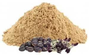 Mucuna Pruriens Seed Extract