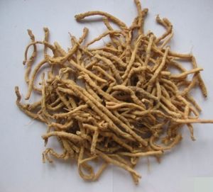 Sida Cordifolia Root Extract