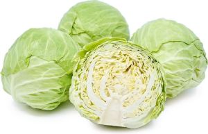 Fresh Cabbage