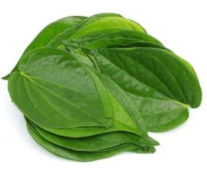 Betel Leaves