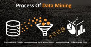 Data Mining Services