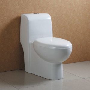 Ceramic Water Closet