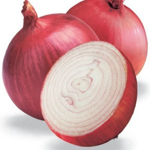 Onion Extract