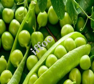 Green Peas