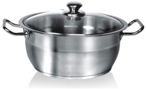 Encapsulated Professional Casserole With steel Handle