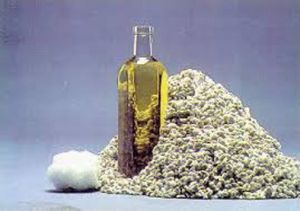 natural cotton seed oil