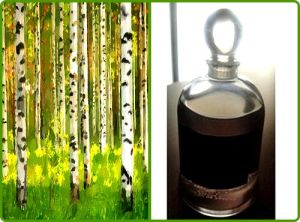 birch tar oil