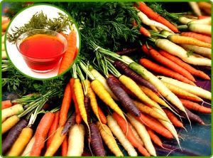 Carrot Seed Oil