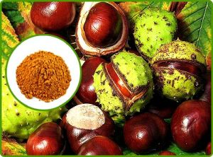 CHESTNUT-EXTRACT