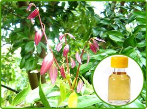 Cinnamon Leaf Oil