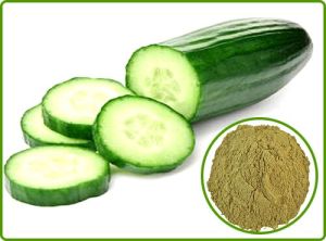 Cucumber Extract