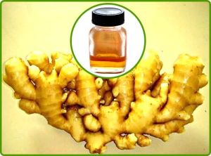 Ginger Oil