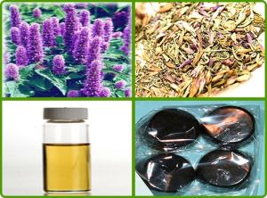 Hyssop Oil