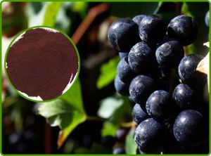 RESVERATROL GRAPE SKIN EXTRACT