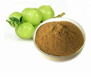 amla extract powder