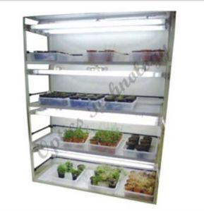 Tissue Culture Rack