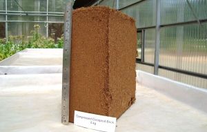 compressed cocopeat bales
