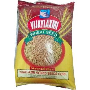 Dried Wheat Seed