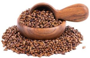 Cassia Seeds