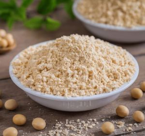 Industrial Grade Guar Gum Powder