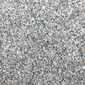 Bala Flower Granite