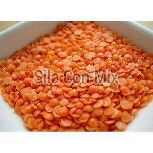 Red Lentils
