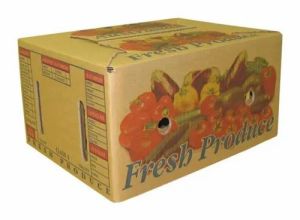 Vegetable Export Box