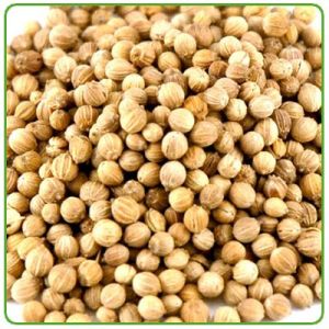 Coriander Seeds