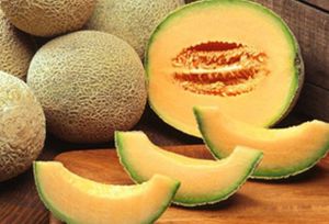 Fesh Muskmelon