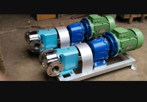 rotary lobe pumps