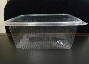 Plastic Hinged Boxes