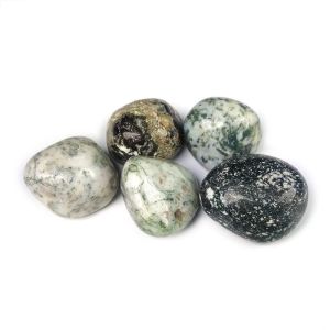 Tree Agate Tumble Stone