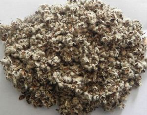 Cottonseed Hulls