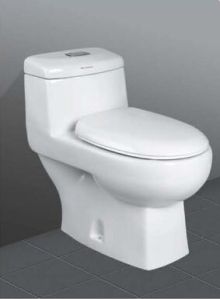 One Piece Water Closet