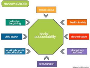 SA 8000 Consultants in Jalandhar .