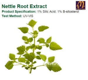 Nettle Root Extract