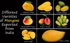 Mangos