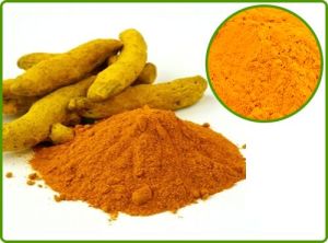 Curcumin Extract