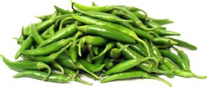 Fresh Green Chilli