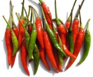 Chilli